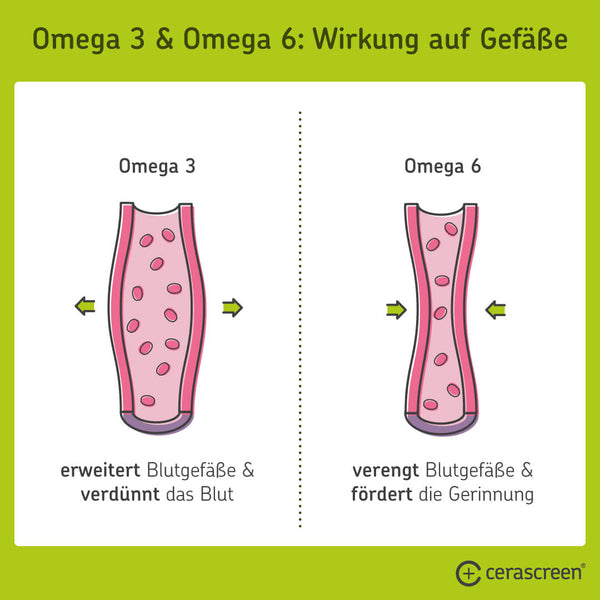 So wirken Omega 3 und Omega 6 auf die Gefäße