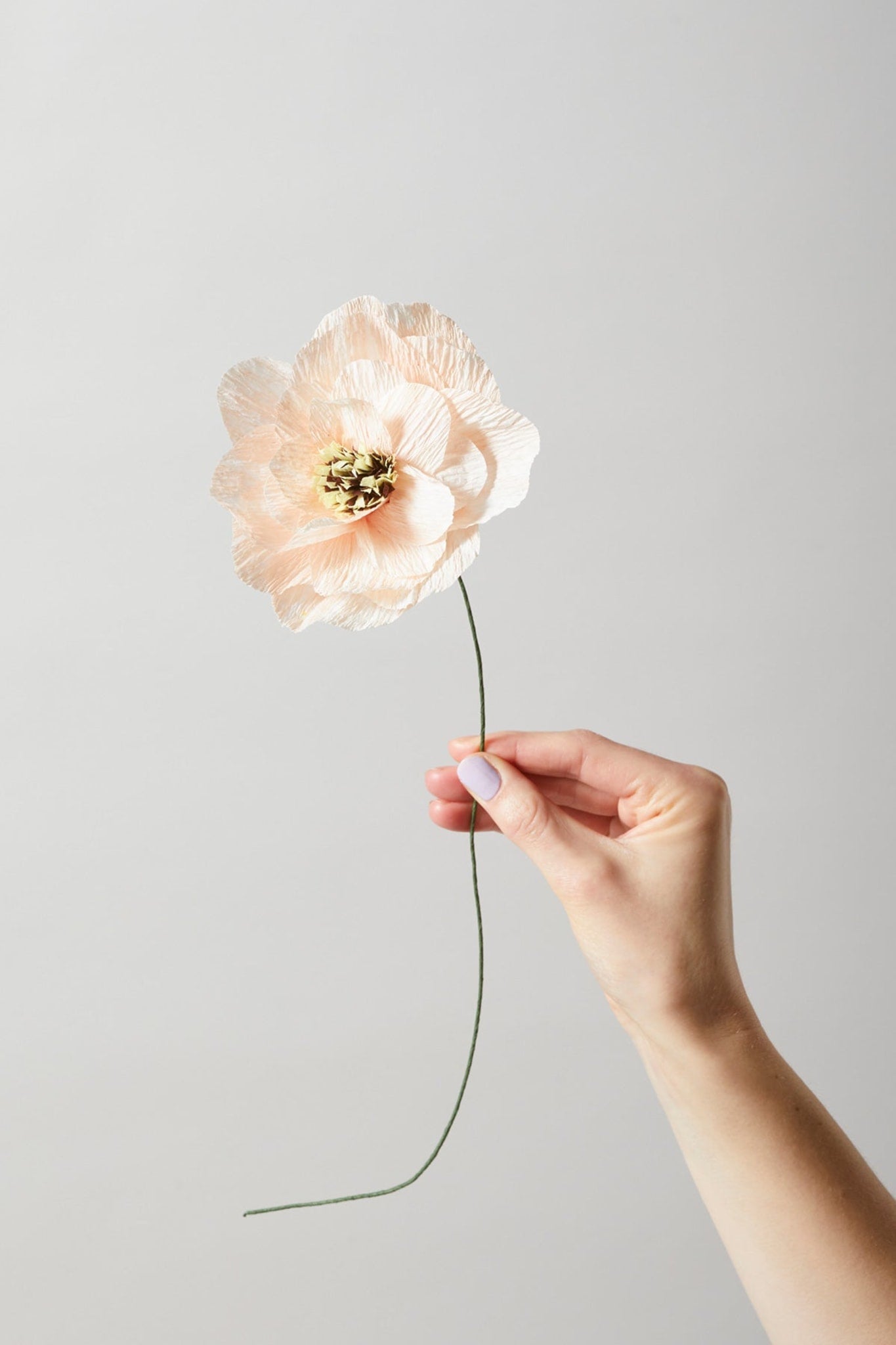 Paper Flowers, Bouquets - Studio About Int.