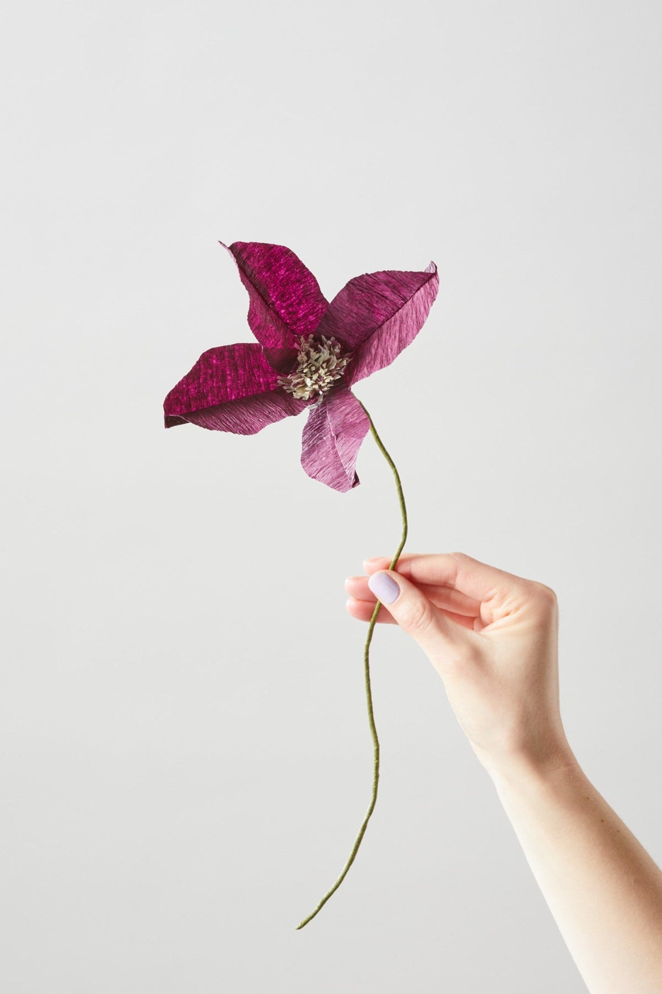 Paper Flowers: The Global, Ancient Roots of a Contemporary Maker