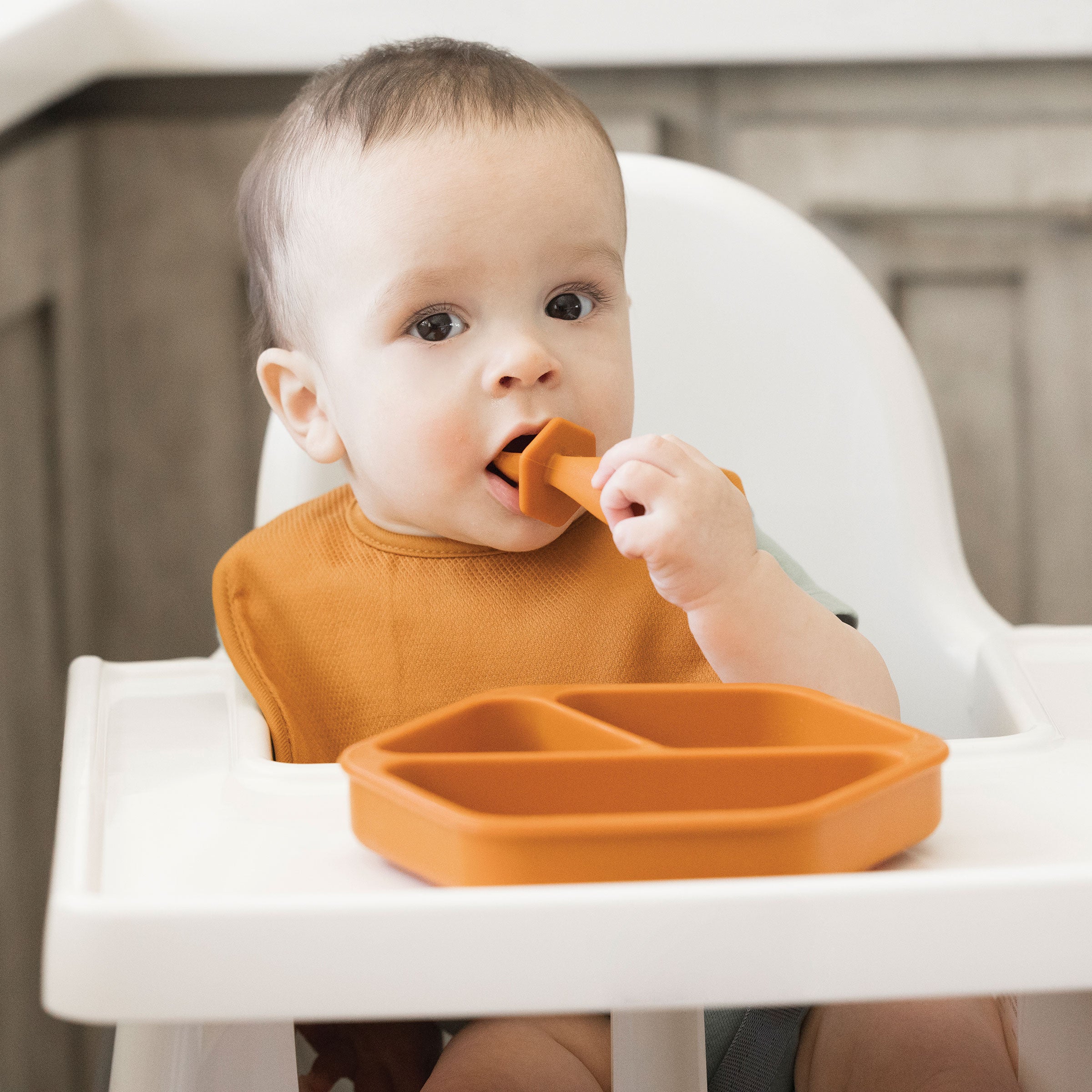 Silicone Divided Suction Baby Plate - Coral – EKOBO USA
