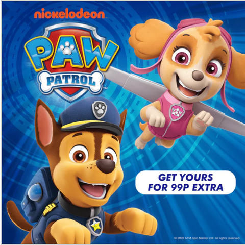 PAW Patrol personalised name stamps