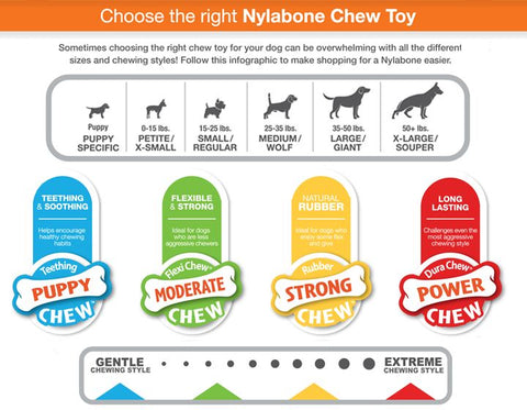 How to Choose the Right Toys for Your Dog