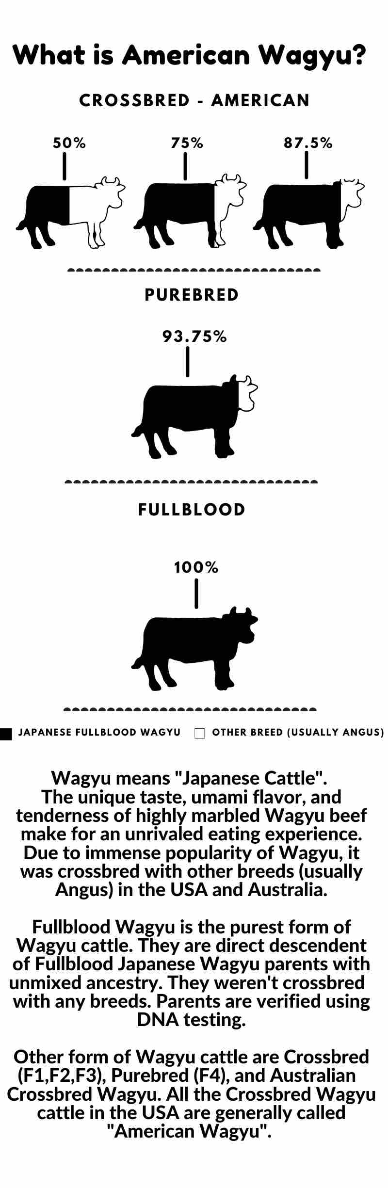 What is American Wagyu - Mobile