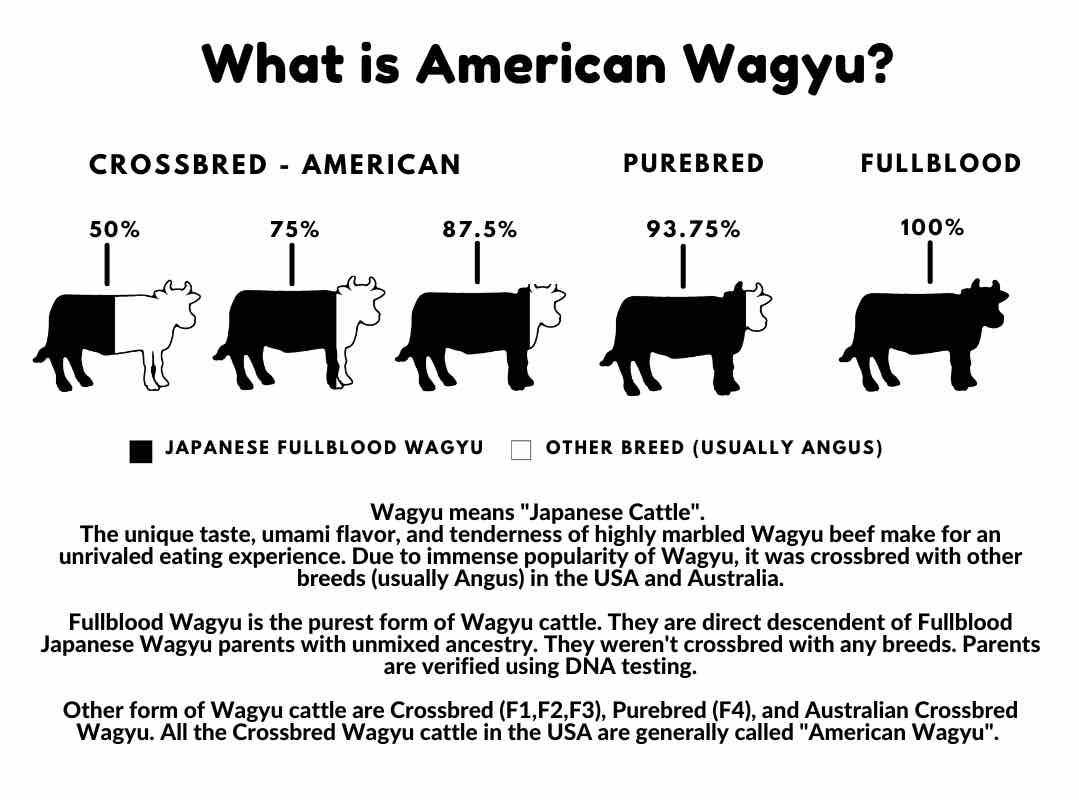 What is American Wagyu - Desktop