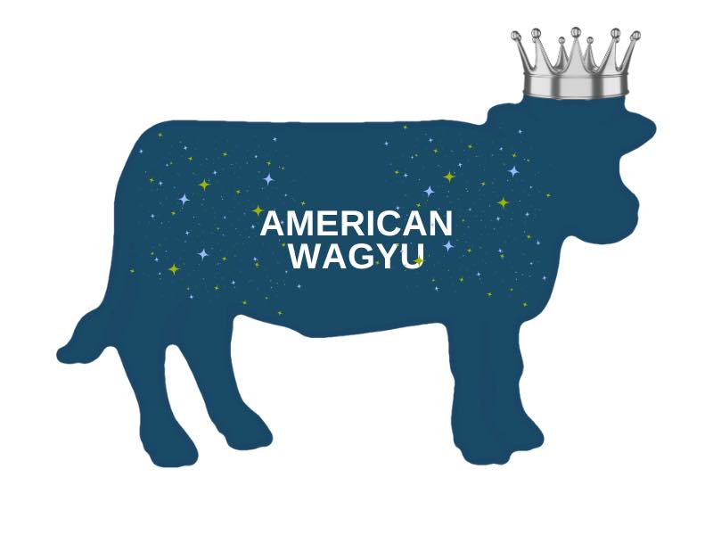 American Wagyu