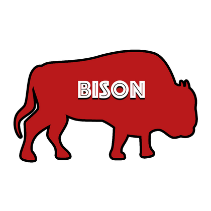 Bison