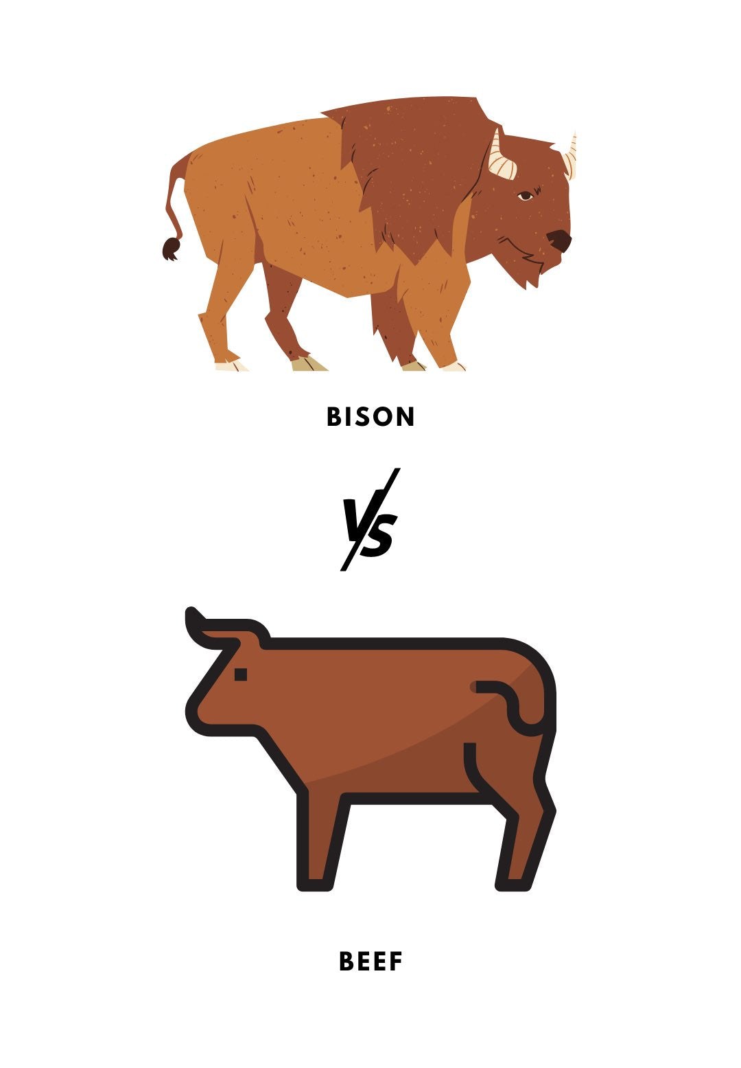 Difference between Bison and Beef