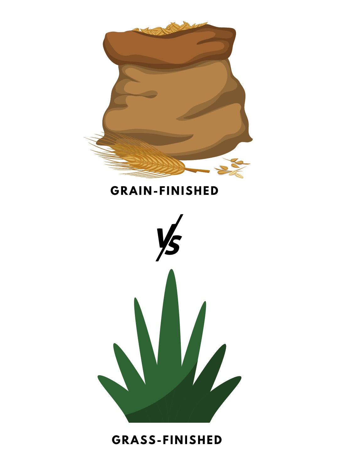 Difference between Grain-finished vs Grass-finished