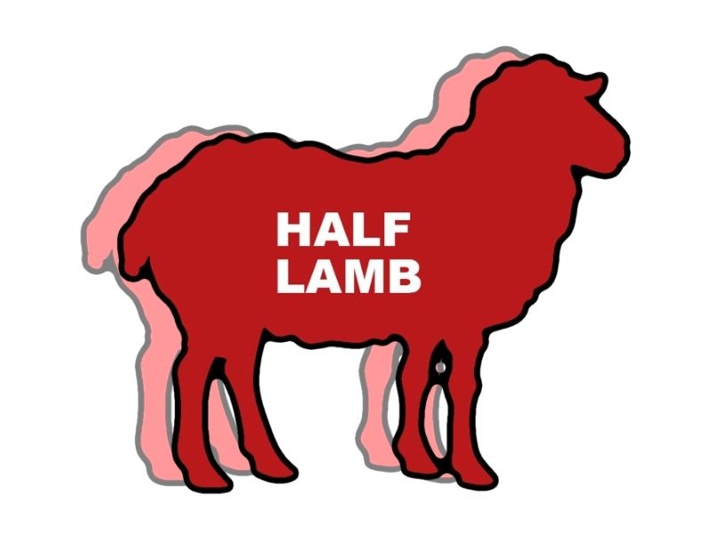 Lamb Half