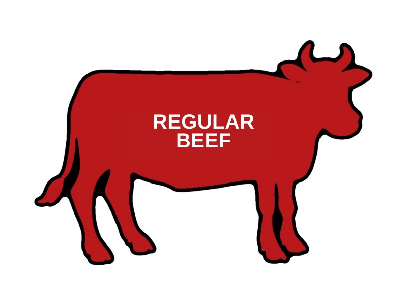 Regular Beef