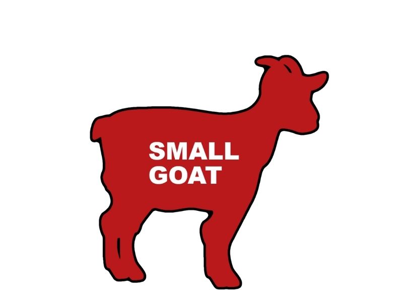 Goat Small