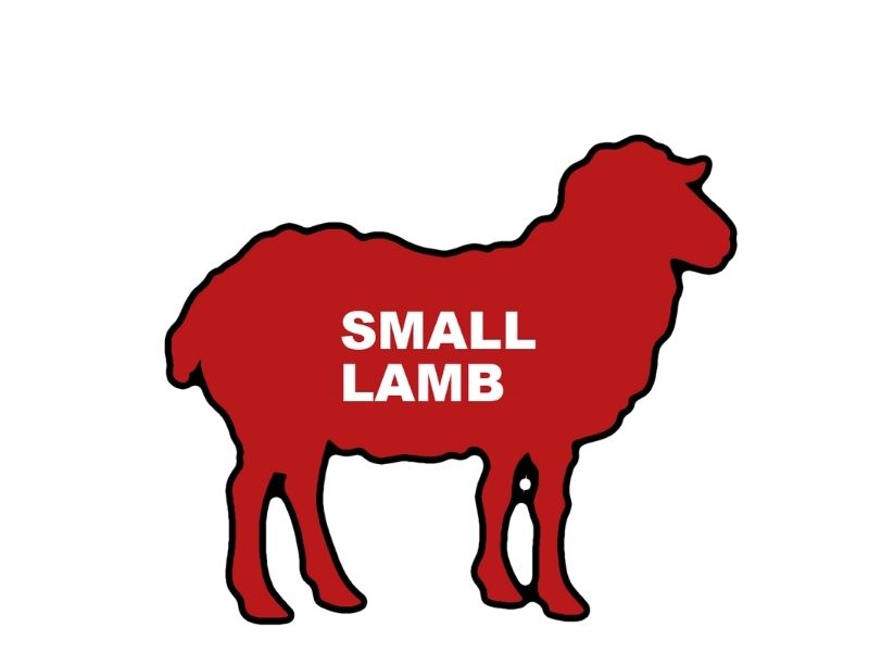 Lamb Small