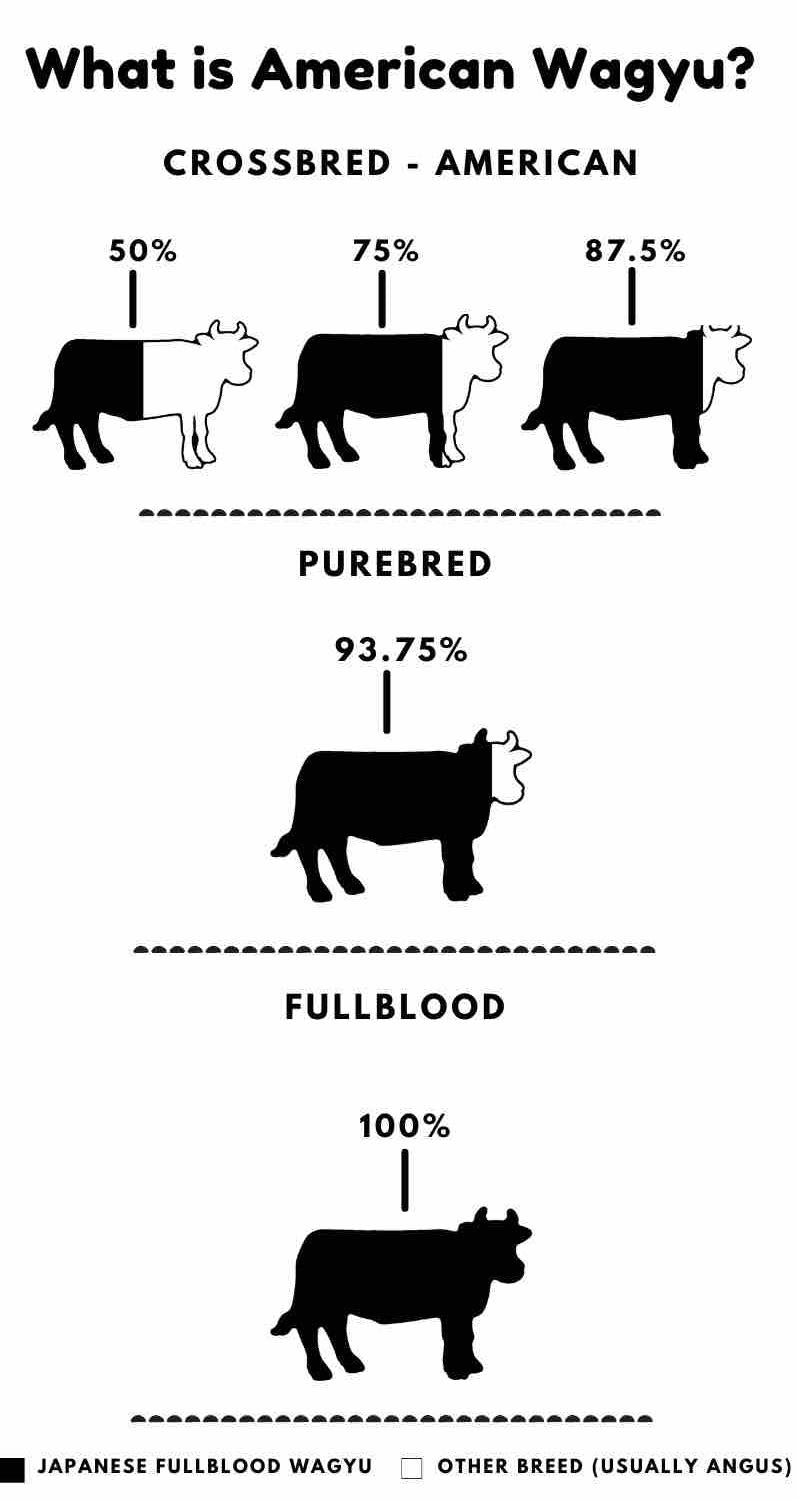 Difference between Full blood wagyu, Crossbred, American and Australian Wagyu