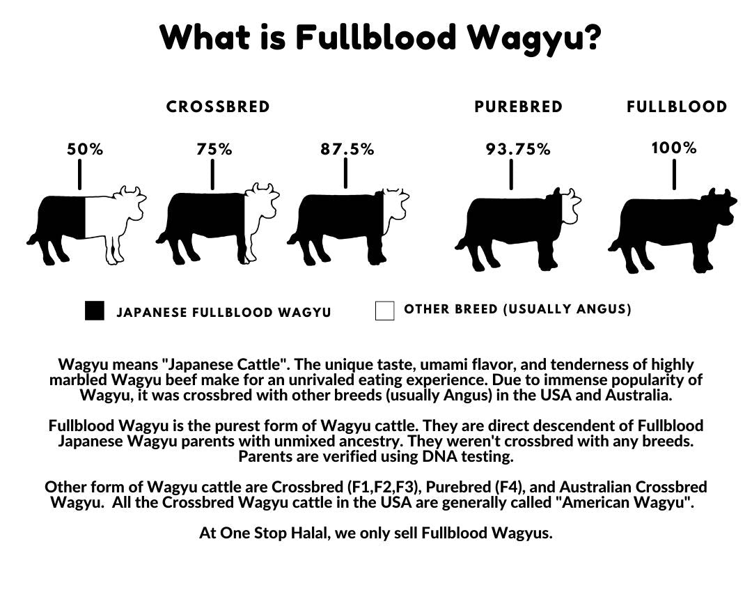 What is Wagyu - Desktop