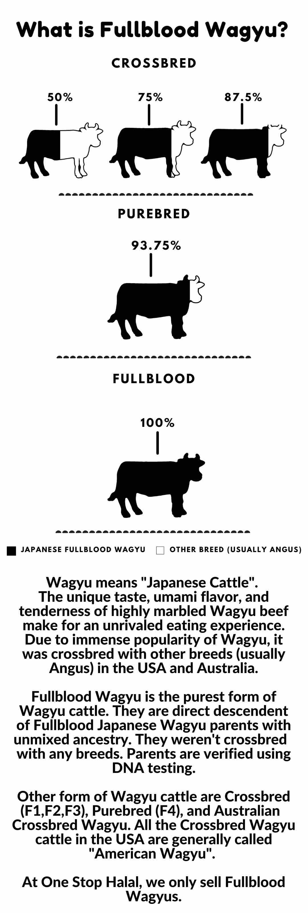 What is Wagyu - Mobile