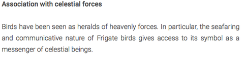Frigate Bird Spiritual Meaning
