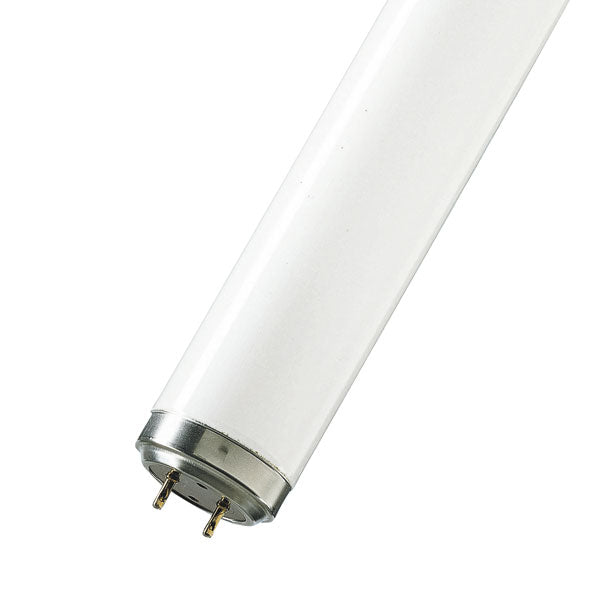 40w t12 fluorescent bulbs