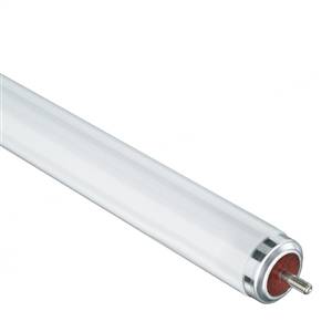 single pin fluorescent bulbs