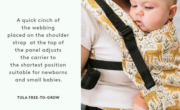 A baby in Tula Free-to-Grow baby carrier