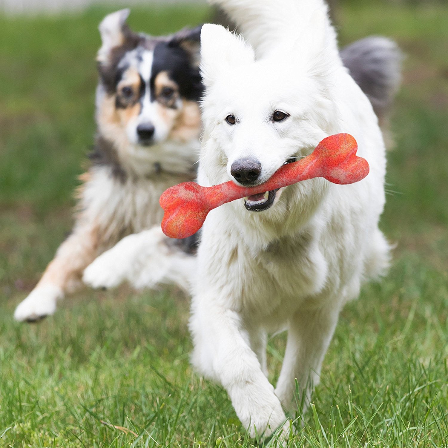 boiled wool dog toys safe