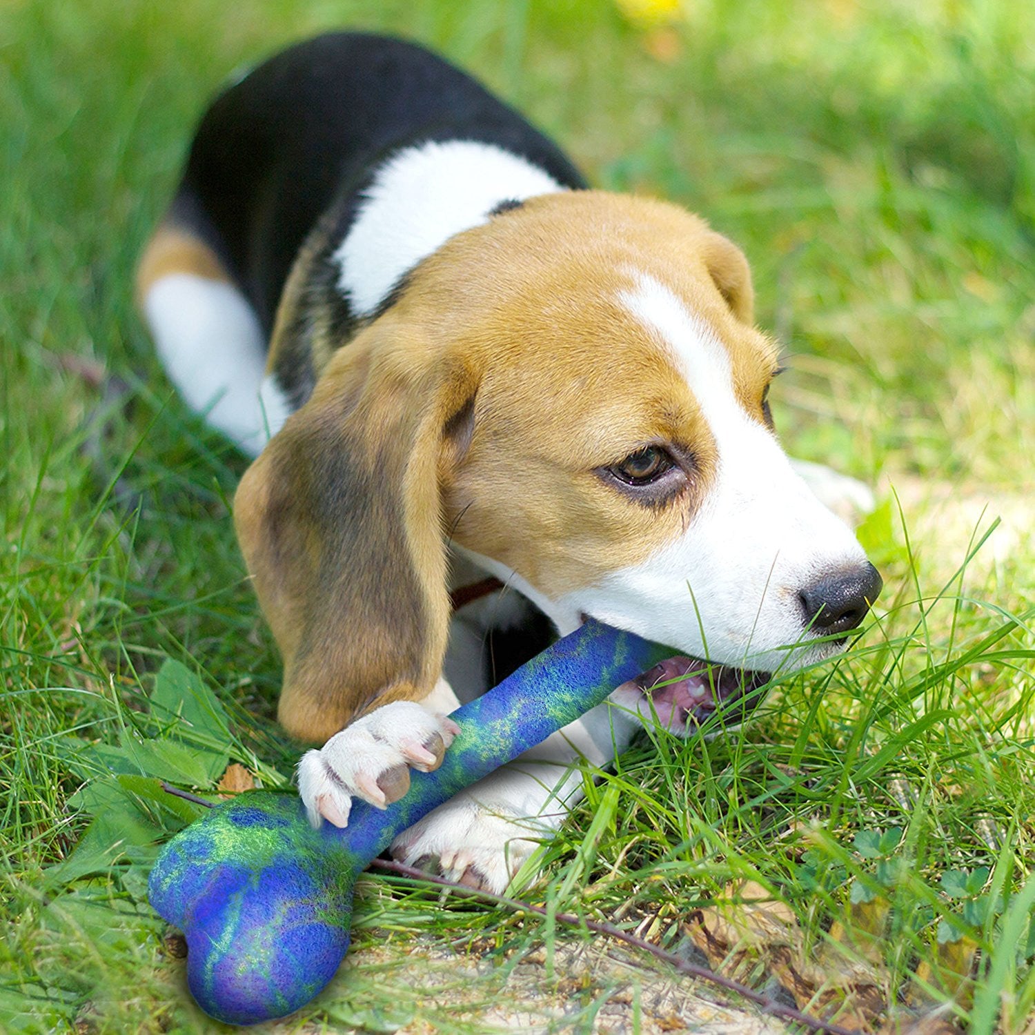 felted wool dog toys