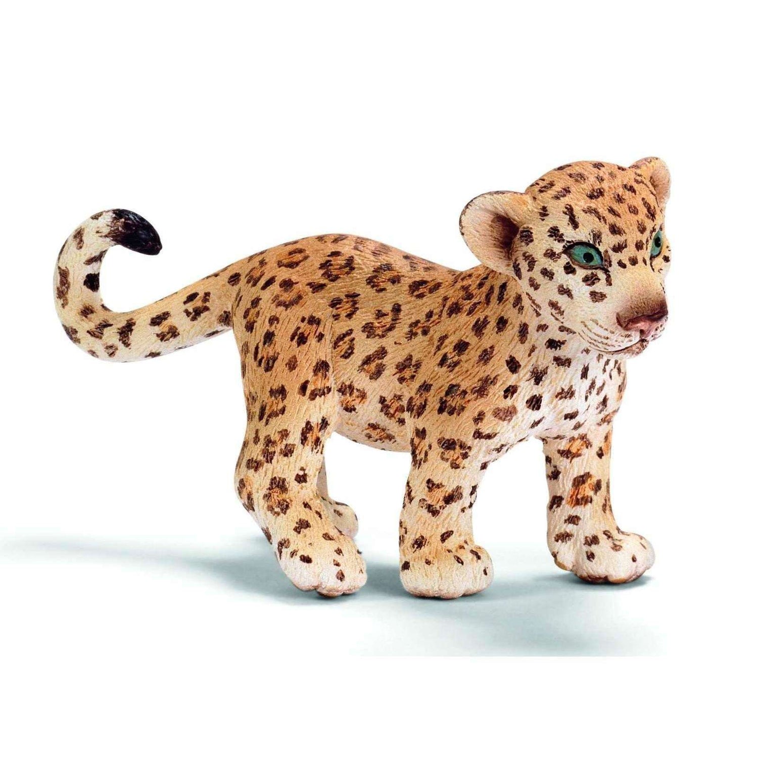 Bebe Leopard Boutique Citrouille