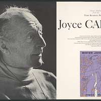 Joyce Cary - Slick Cat Books