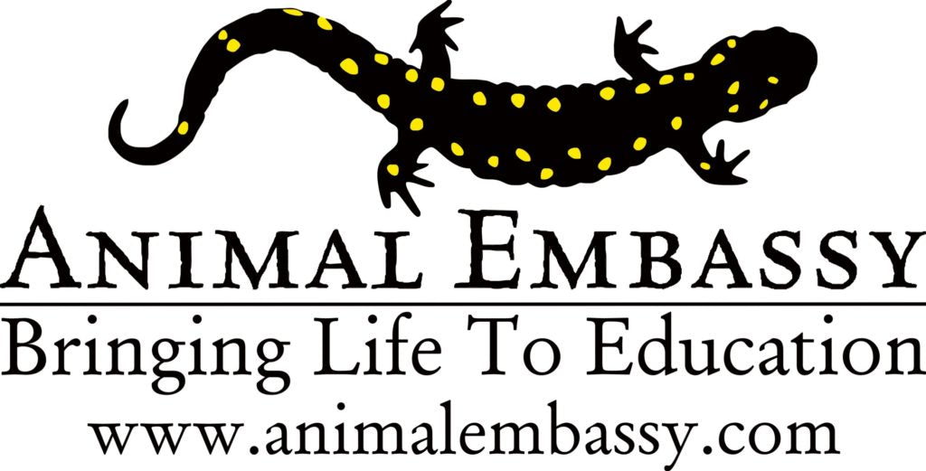 animal_embassy_logo