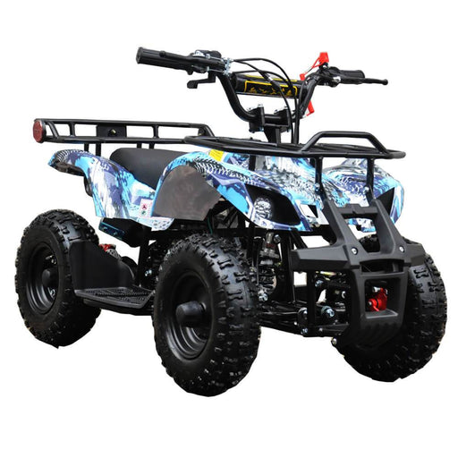 electric quad bikes