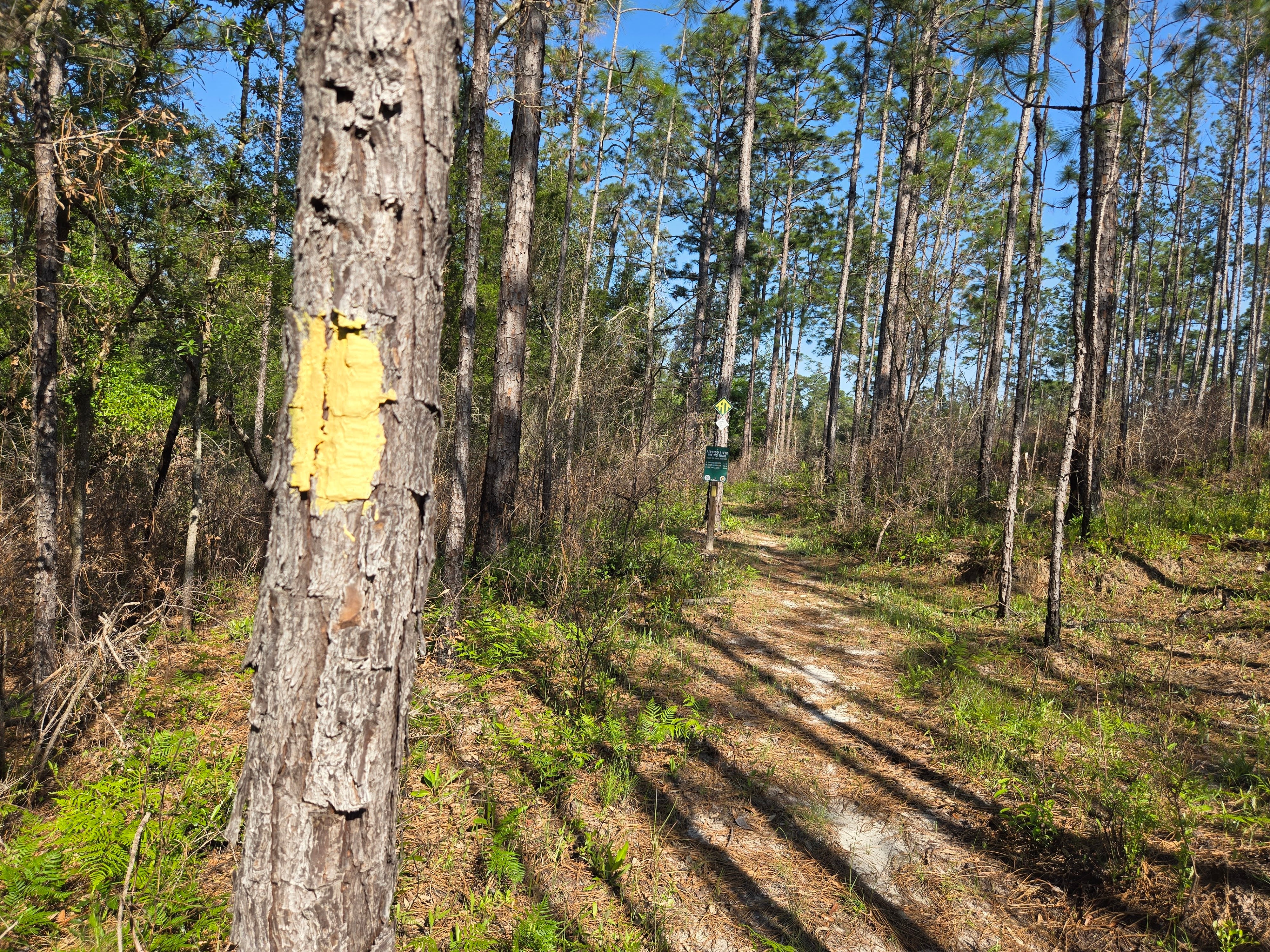 Perdido River Hiking Trail