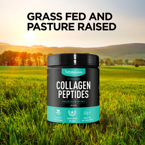grass fed collagen peptides