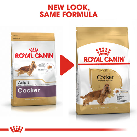 royal canin cocker spaniel dog food