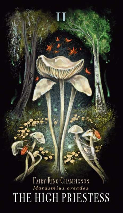 Midnight Magic By Sara Richard