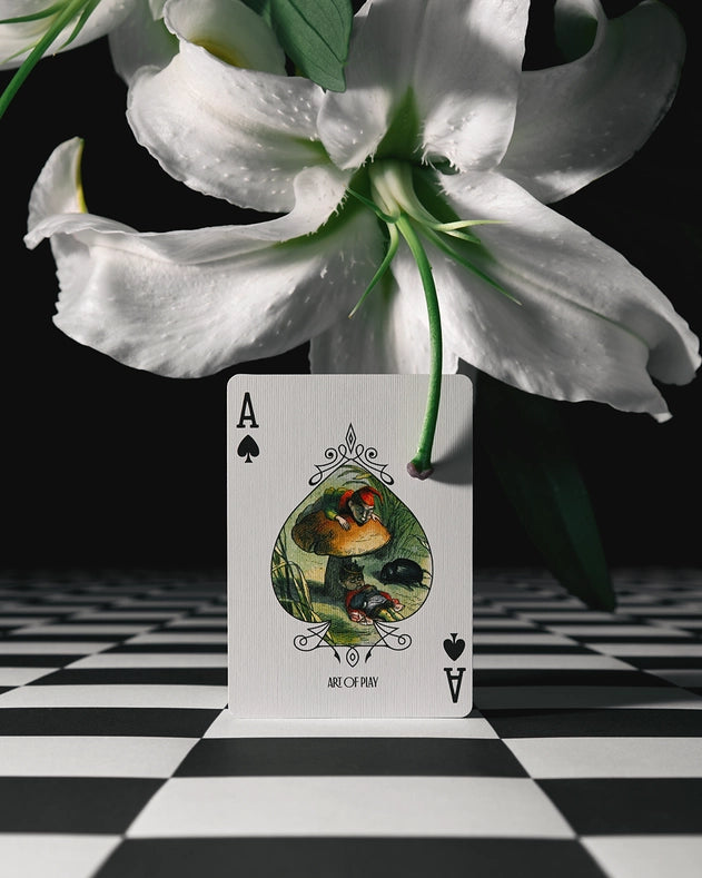 Grimmlore Tartan Playing Cards - by Art of Play