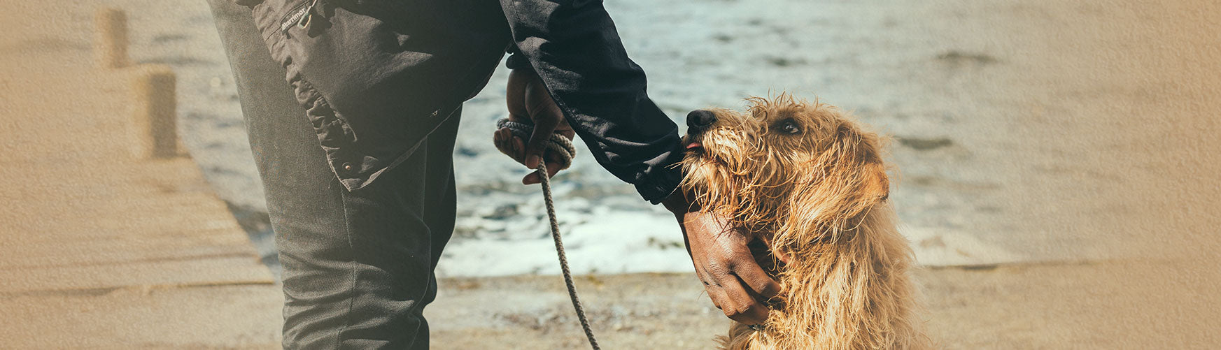 standard dog obedience hand signals