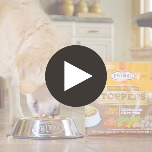 Freeze-Dried Raw Toppers <br> Turkey Featured Video