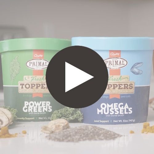 Fresh Topper <br> Omega Mussels Featured Video