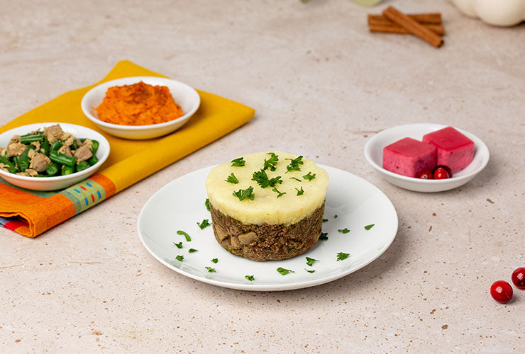 Primal pet friendly thanksgiving feast, featuring shepards pie, cranberry cubes, sweet potato and green bean casserole