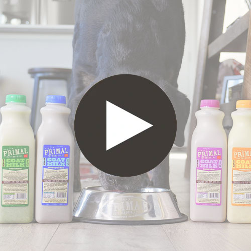Goat Milk+<br> Blueberry Pom Burst Featured Video