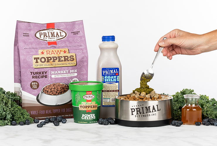 Hand spooning Power Greens Fresh Toppers into Primal-branded stainless steel pet food bowl with Kibble, Turkey Market Mix Raw Toppers, and Blueberry Pom Goat Milk+ 