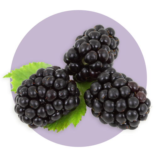 Blackeberries