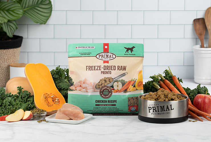 Image of Chicken Recipe Freeze-Dried Raw Pronto and Primal-branded stainless steel dog bowl, surrounded by fresh produce and chicken