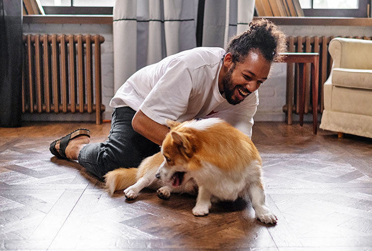 Man and his dog playing a game of wrestle