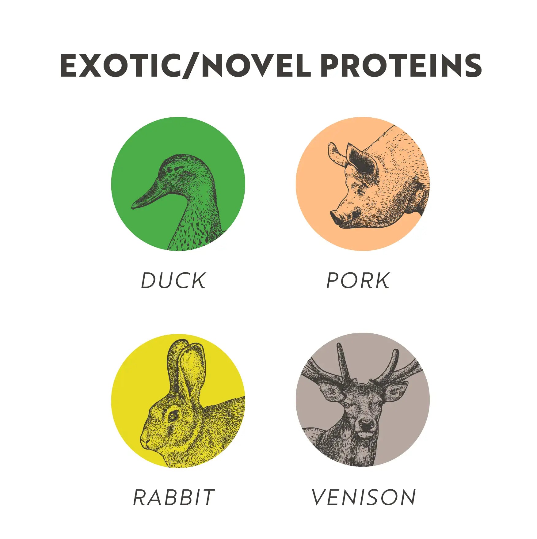 Exotic proteins