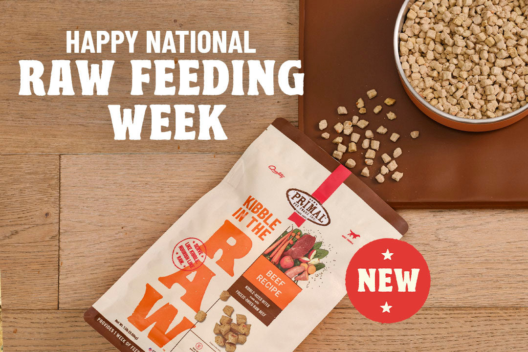 Celebrate Raw Feeding Week with Kibble in the Raw!