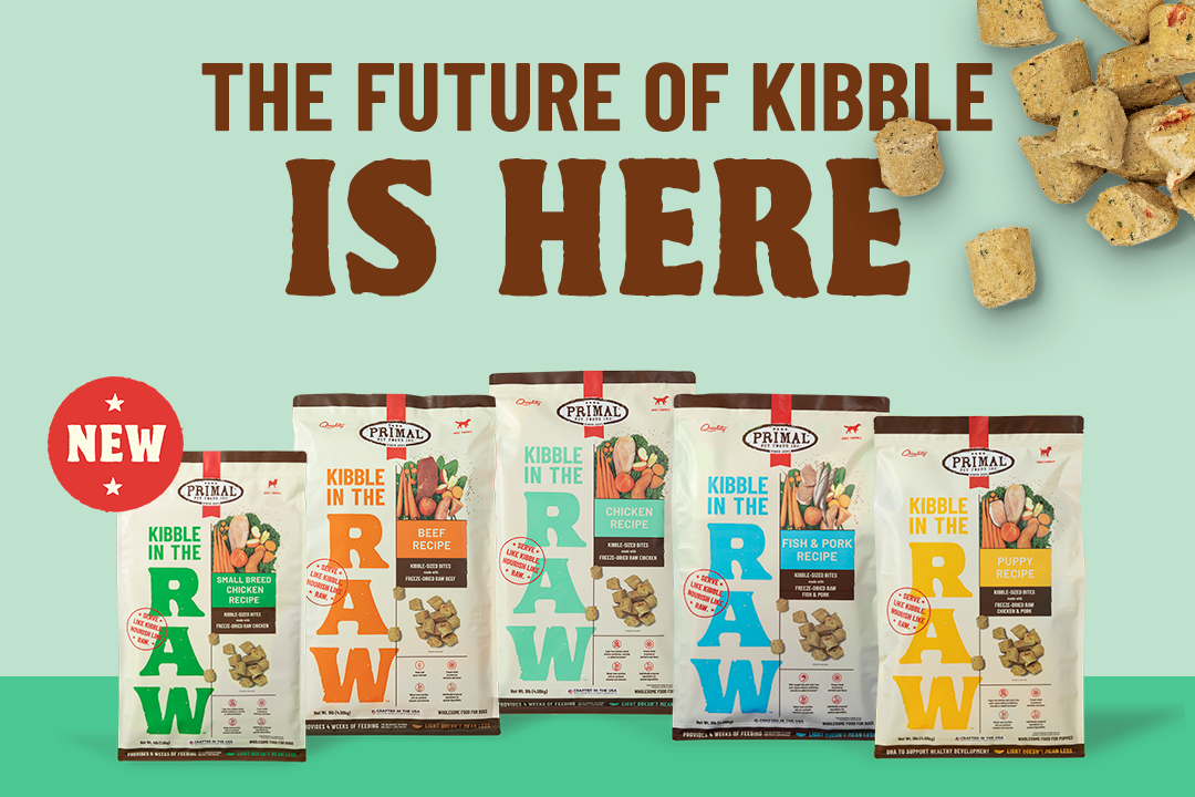 Introducing Kibble in the Raw! The Future of Kibble is Here