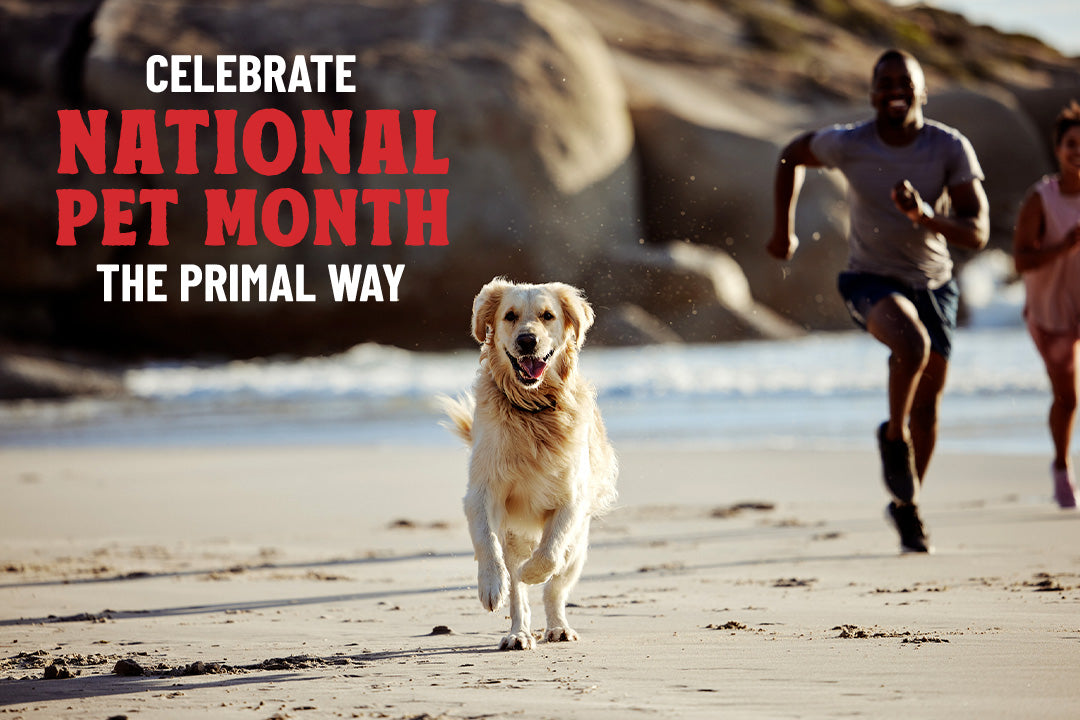 How to Nurture Your Pet’s Primal Side This National Pet Month