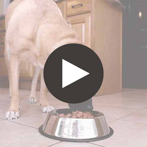 Canine Raw Frozen Pronto <br> Turkey & Sardine Formula Featured Video