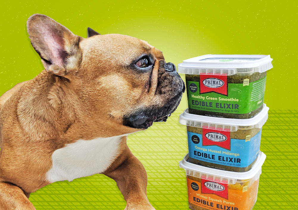 how do you supplement raw dog food