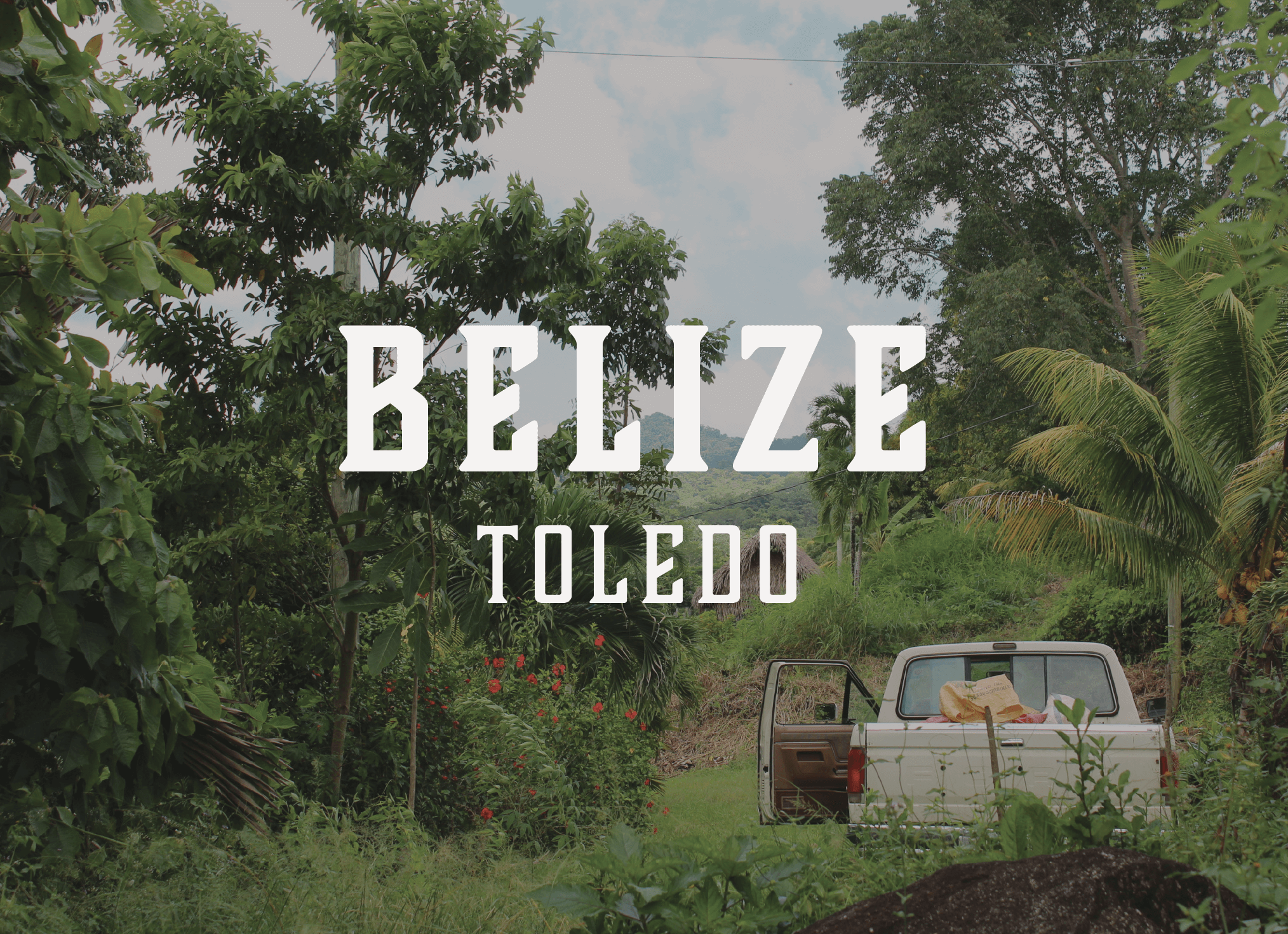 Toledo Belize button